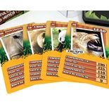 01816_Grow_Trunfo-Animais-Selvagens_ref2_det3