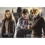 03616_GROW_P150_Harry_Potter_Mapa