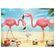 03752_GROW_P60_Flamingos_Mapa--1-