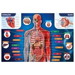 02443_GROW_P200_Corpo_Humano_Mapa--1-