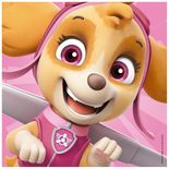 03944_GROW_DecorKids_Patreulha_Canina_Mapa3