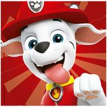 03944_GROW_DecorKids_Patreulha_Canina_Mapa2