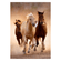 Puzzle-1000-pecas-Cavalos_Mapa