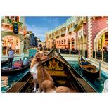 03939_GROW_Pet_Na_Gondola_Mapa