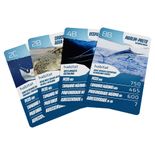 04361_GROW_Super_Trunfo_Predadores_Aquaticos_Detalhe