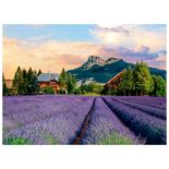 04390_GROW_P500_Campos_De_Lavanda_Mapa
