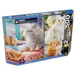 04235_GROW_P500_Duplo_Gatos