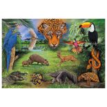 03568_GROW_P150_Fauna_Brasileira_Mapa