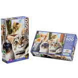 04397_GROW_P500_Selfie_Cats_Verso