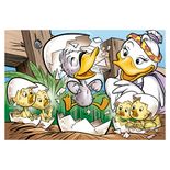 04546_GROW_PProg_Patinho_Feio_Mapa3