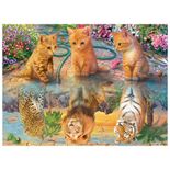 04568_GROW_P500_Adoraveis_Felinos_Mapa
