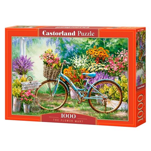 P1000_Bicicleta-no-jardim