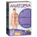 04751_Anatomia-Embalagem-VS-copiar