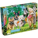 04606_GROW_P1000_Mini_Corrida_Canina