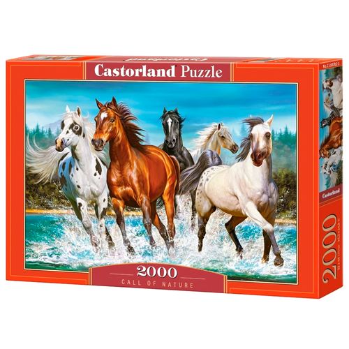 P2000_Cavalos-na-Natureza.jpg