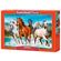 P2000_Cavalos-na-Natureza.jpg