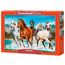 P2000_Cavalos-na-Natureza.jpg