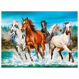 P2000_Cavalos-na-Natureza_Mapa.jpg