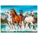 P2000_Cavalos-na-Natureza_Mapa.jpg