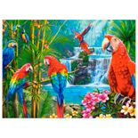 P2000_Encontro-das-Aves_Mapa.jpg
