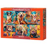 P2000_Meu-Pet-Preferido.jpg