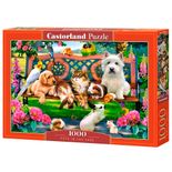 P1000_Pets-no-Parque.jpg