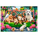 P1000_Pets-no-Parque_Mapa.jpg