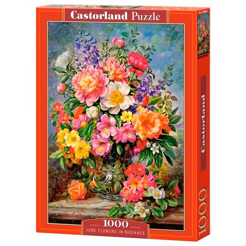 P1000_Flores-Radiantes.jpg