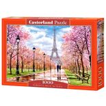 P1000_Passeio-Romantico-em-Paris.jpg
