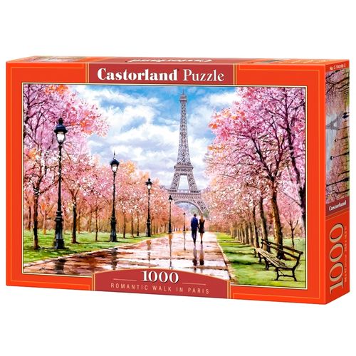 P1000_Passeio-Romantico-em-Paris.jpg