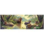 04854_GROW_QC350_Panorama_Capivaras_Mapa