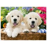 04863_GROW_QC500_Mini_Cesta_De_Labradores_Mapa